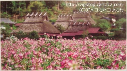 京都土産