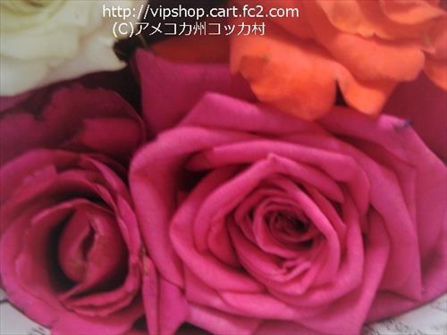 薔薇
