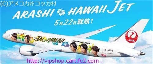 祝２０周年 嵐様の特別塗装機 ☆JAL ARASHI HAWAII JET 運航中