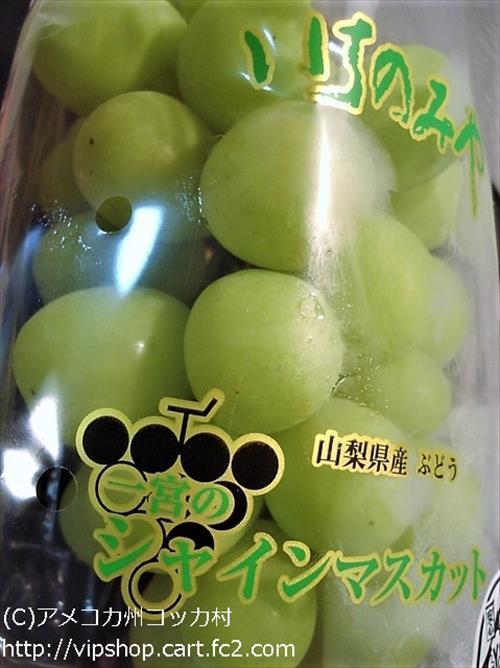 令和んコッカーのバッグチャーム