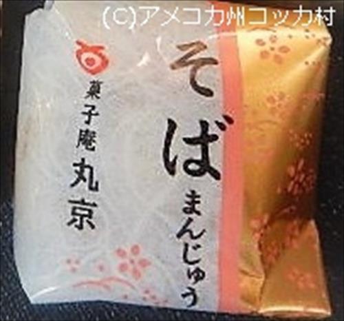 色紙画