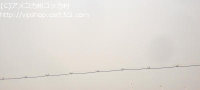 1DSC00504+1.jpg