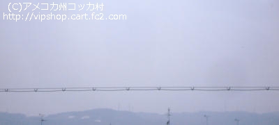 1DSC00506+1.jpg
