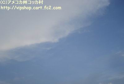 1DSC01442.jpg