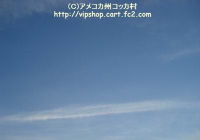 1DSC02002.jpg
