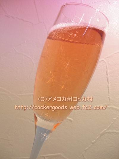 1DSC04886.jpg