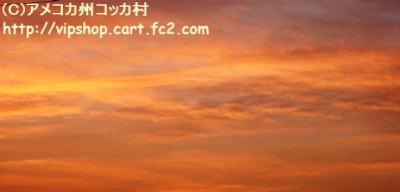 1DSC06026.jpg