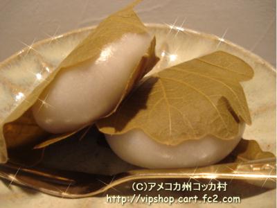 1DSC06117.jpg