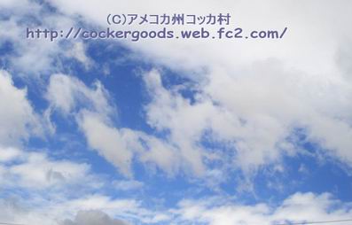1DSC06245.jpg