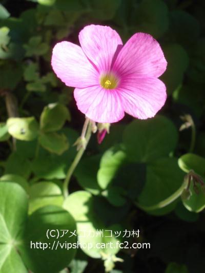 1DSC08001.jpg