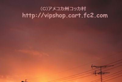 1DSC08185.jpg