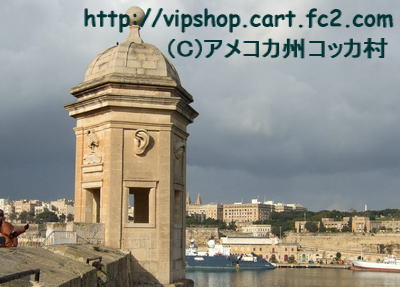 1コピー~ 2012_0211malta0061.jpg