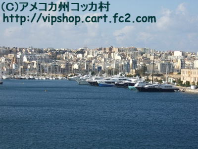 1コピー~ 2012_0211malta0080.jpg