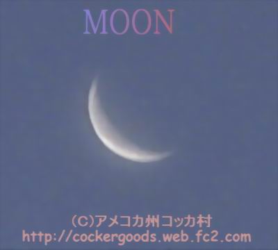 1コピー~ DSC07684.jpg