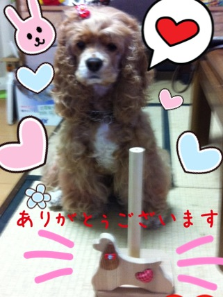 1kmoppy.bmp