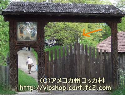 1rmoppy18.jpg