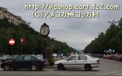 1rmoppy2.jpg