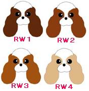 RW見本.jpg