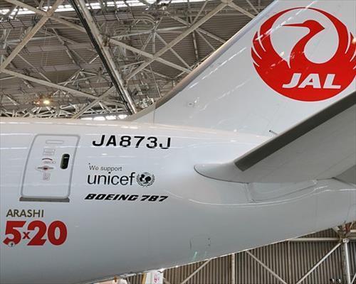 祝２０周年 嵐様の特別塗装機 ☆JAL ARASHI HAWAII JET 運航中